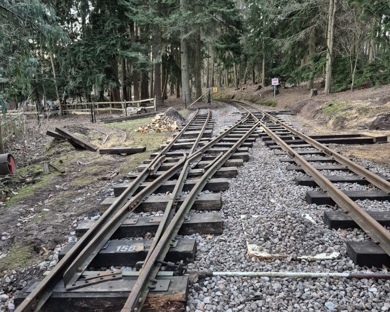 Wills Wood Loop 2