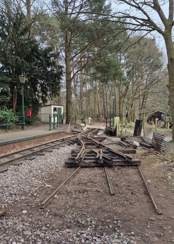 Wills Wood Loop 3