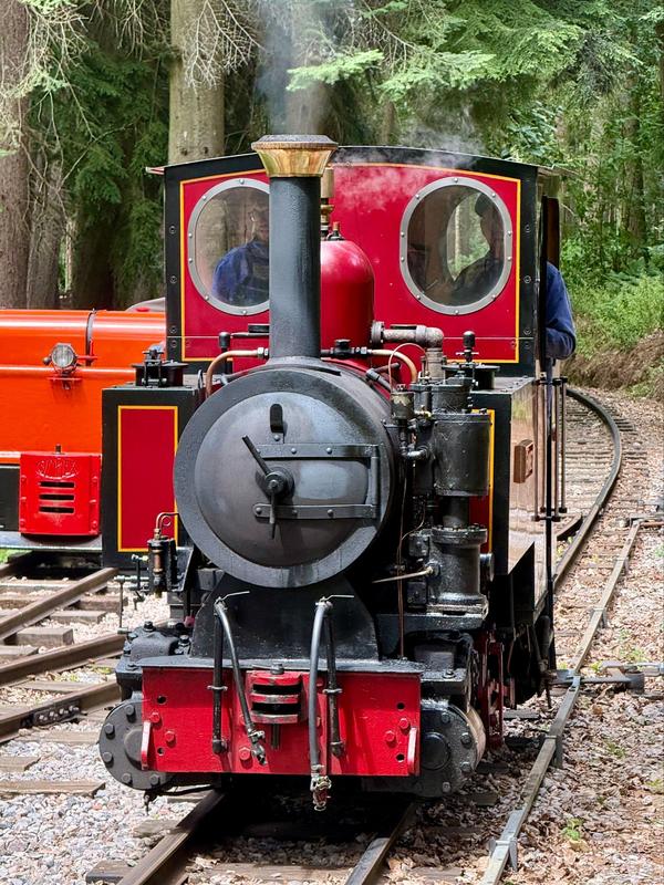 Emmet runs around at Mills Wood during the Fire Engine weekend. Photo: Alex Forshaw.