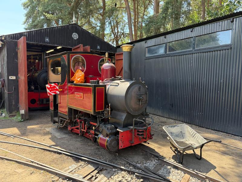 Emmet in front of the shed being cleaned with Elouise behind. Photo: Alex Forshaw.